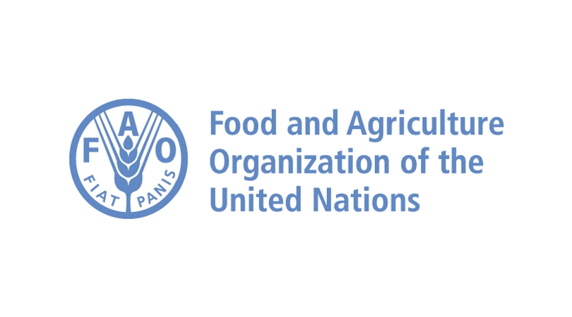 Food-and-Agriculture-organisation-of-the-united-nations