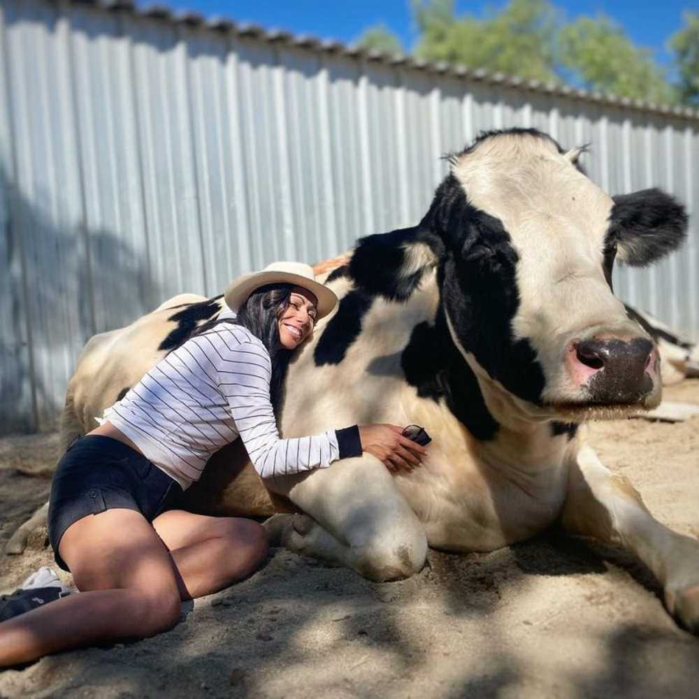 cow-hug-therapy-help-your-mental-health