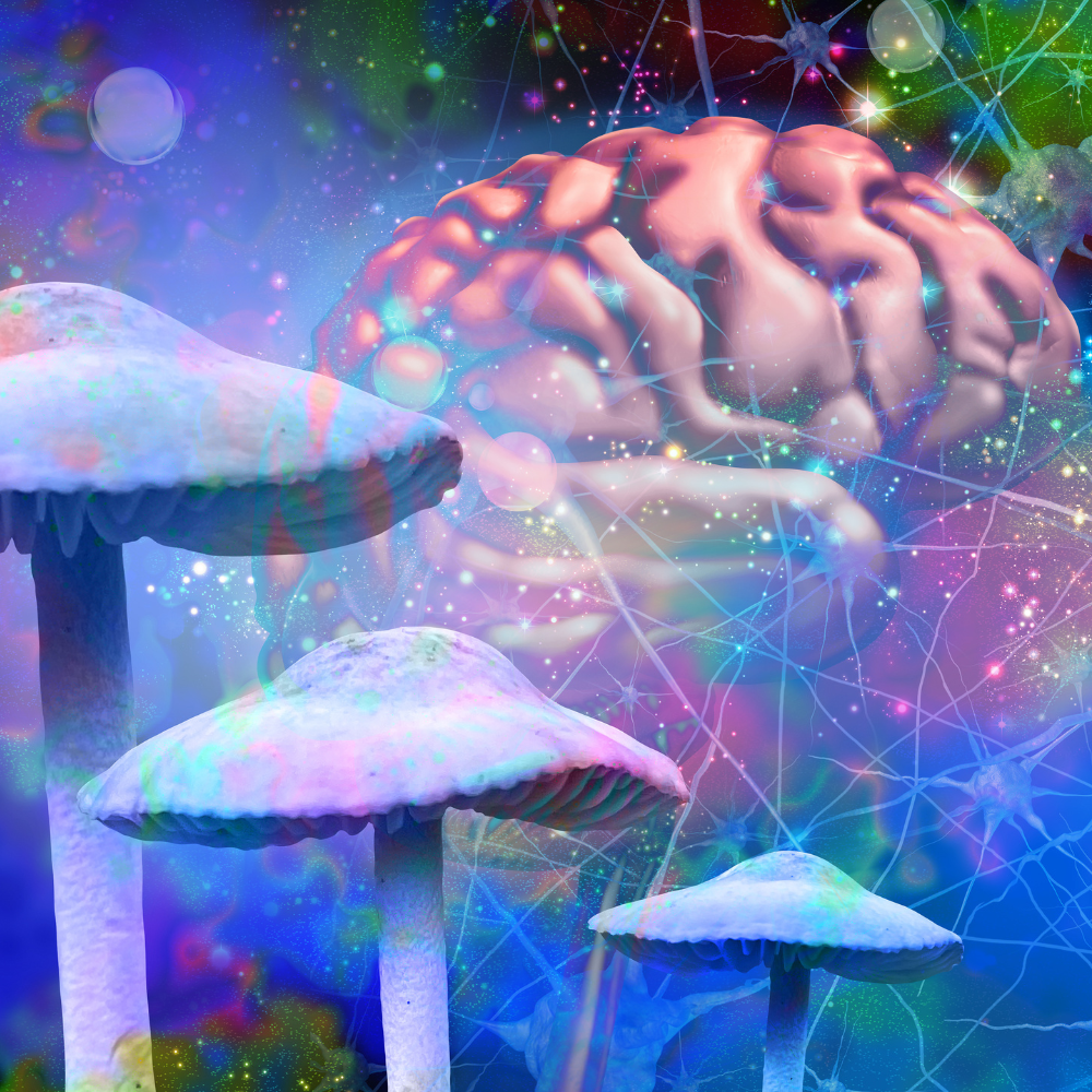 what-are-the-effects-of-microdosing