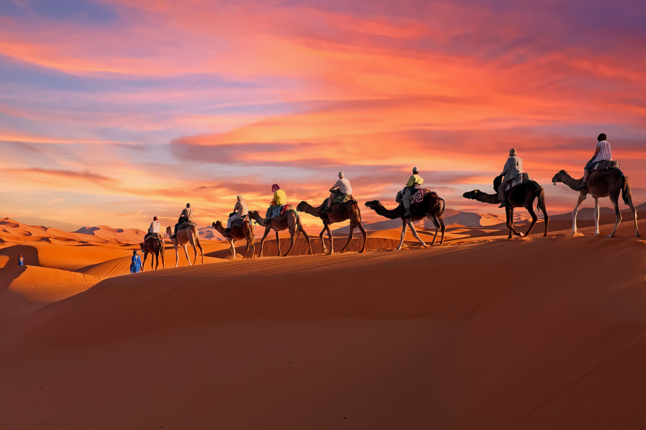 UAE Travel Landscape